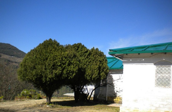 Ramgarh - Nainital