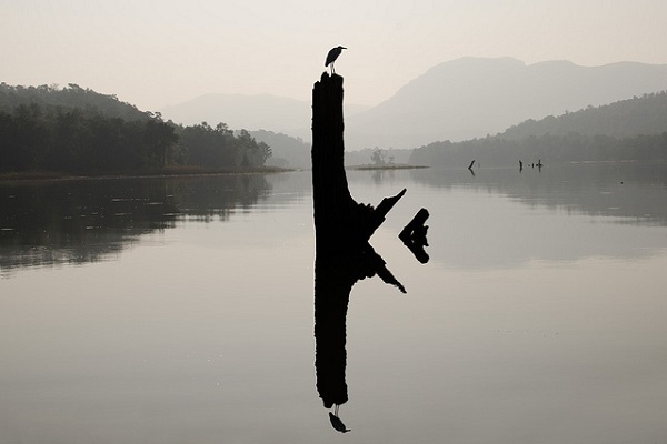 satpura tiger reserve