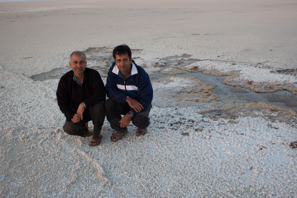 white sand kutch, Gujarat