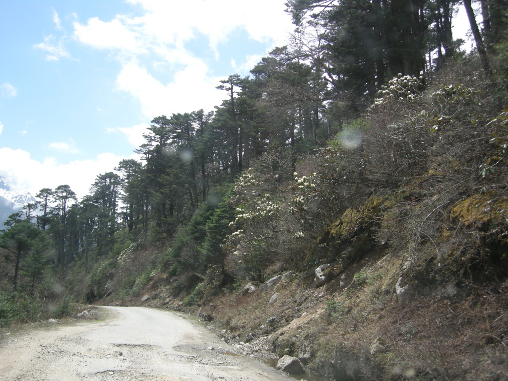 Valley Of Flowers, Sikkim