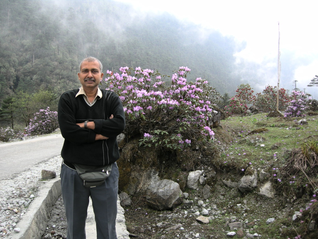 Valley Of Flowers, Sikkim