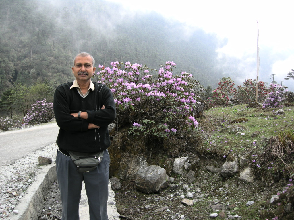 Valley Of Flowers, Sikkim 